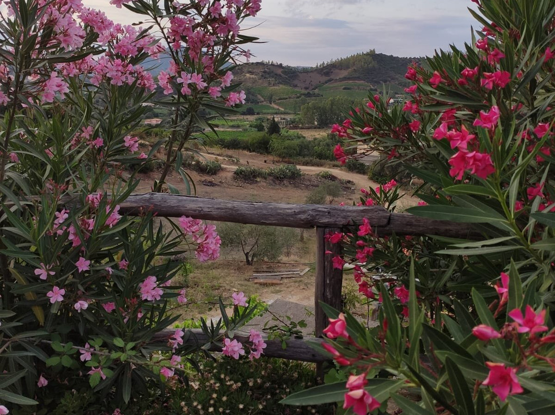 Agriturismo s'Orgiola主图