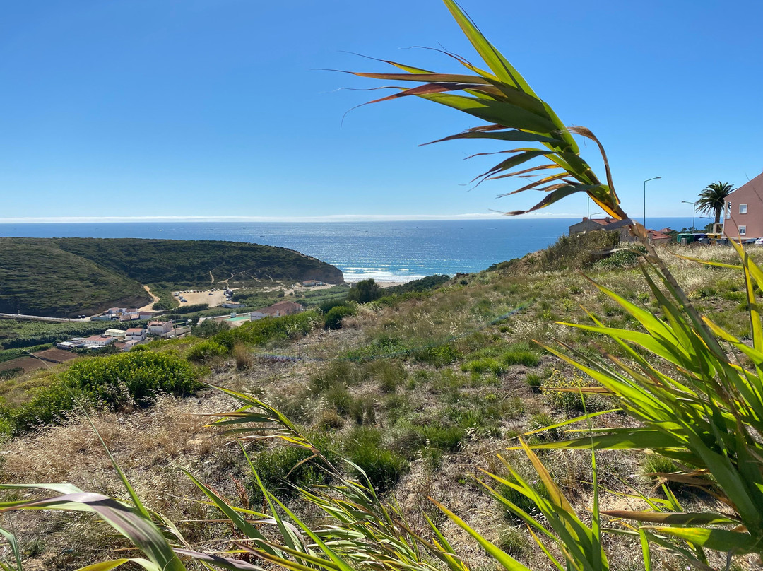 Eco Soul Ericeira Guesthouse主图