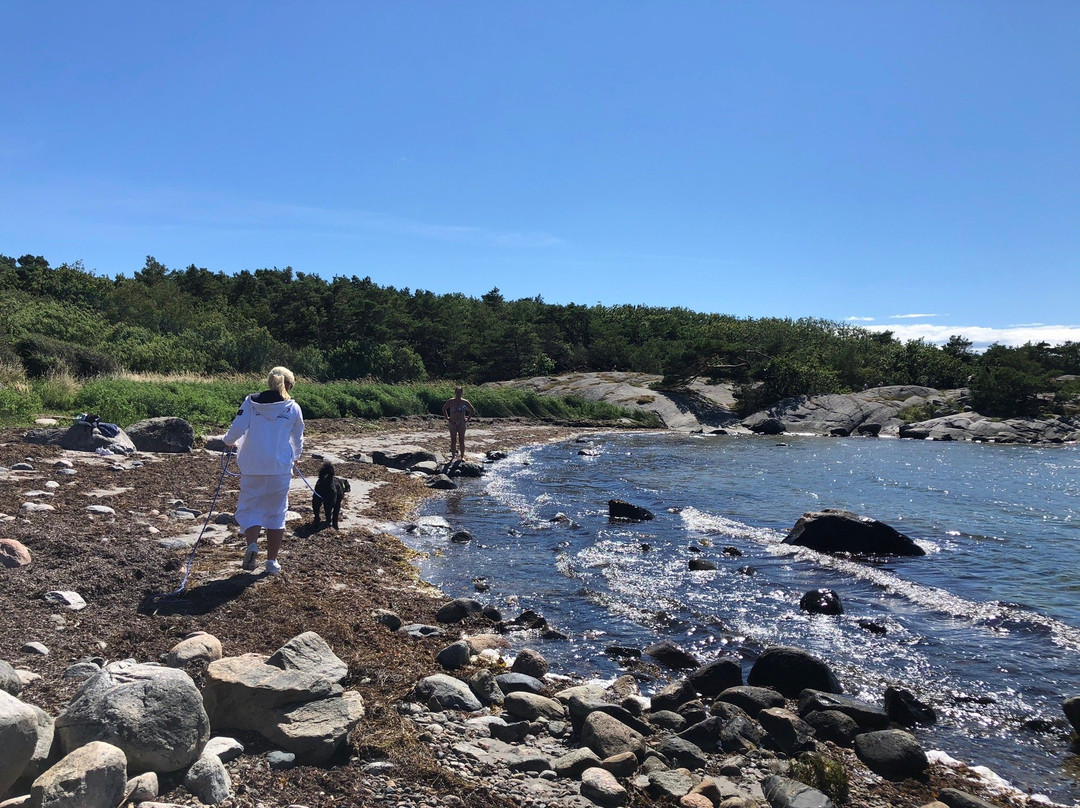 Särö Västerskog Naturreservat景点图片