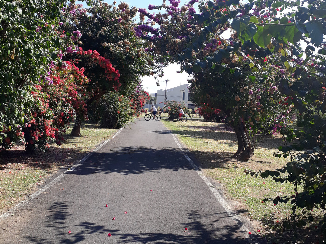 Parque Ecologico de Indaiatuba-因达亚图巴必去景点