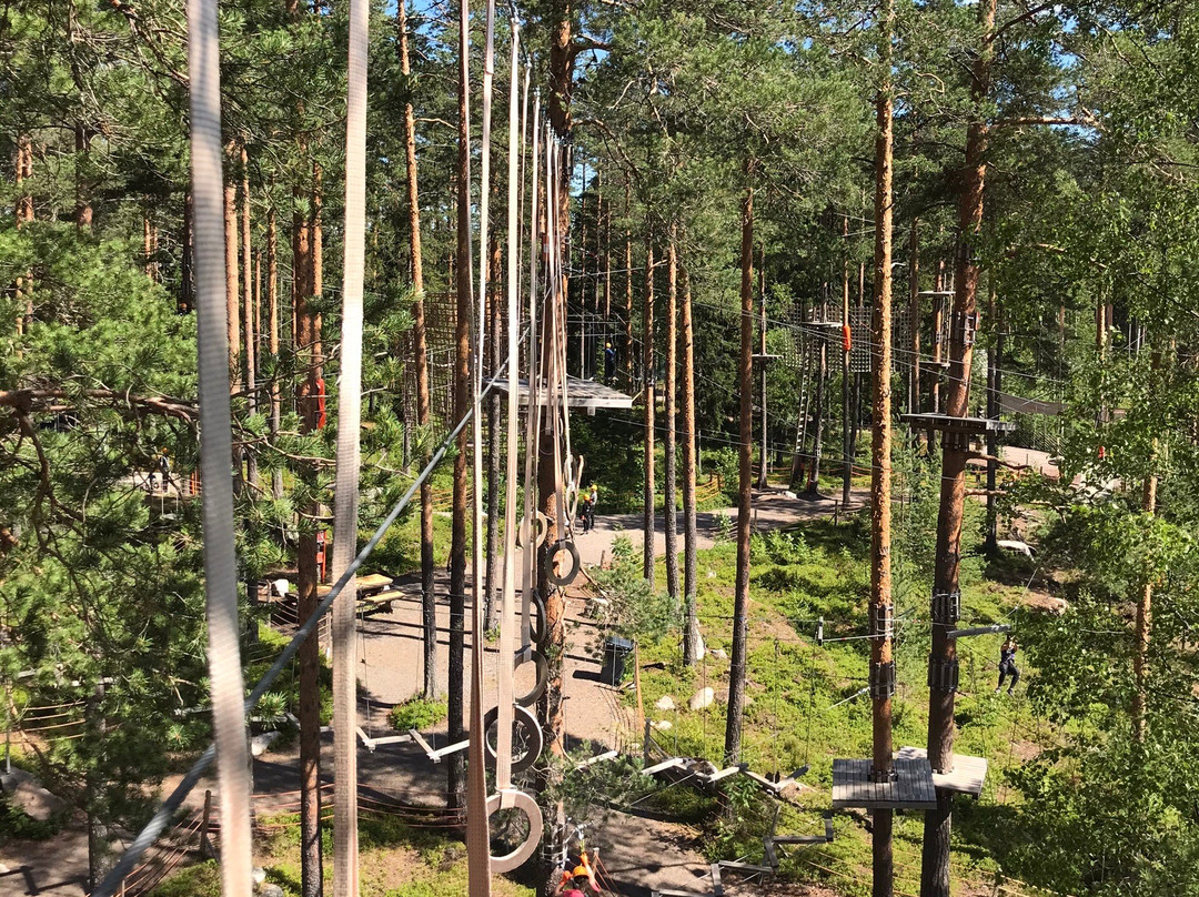 Flowpark Ahtari Zoo-Ähtäri必去景点