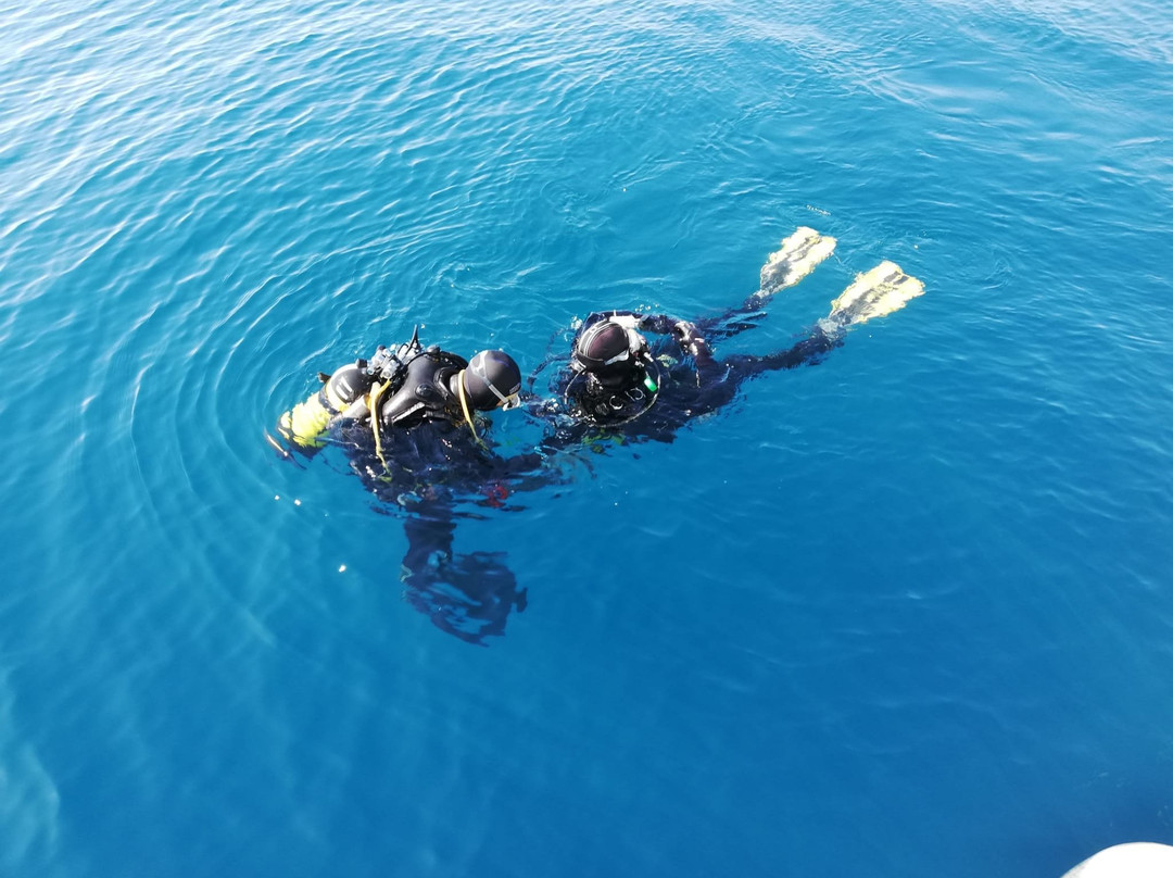 Le Cavallette Diving-萨沃纳必去景点