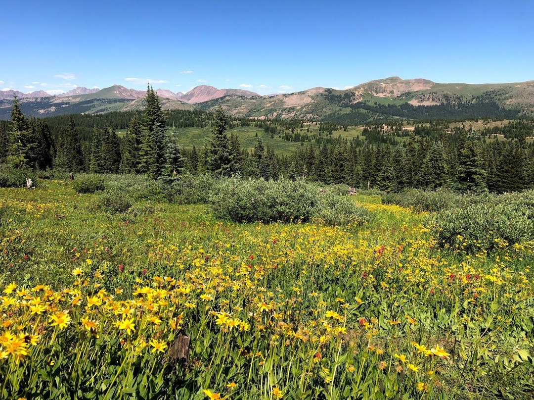 Shrine Pass Road-韦尔必去景点