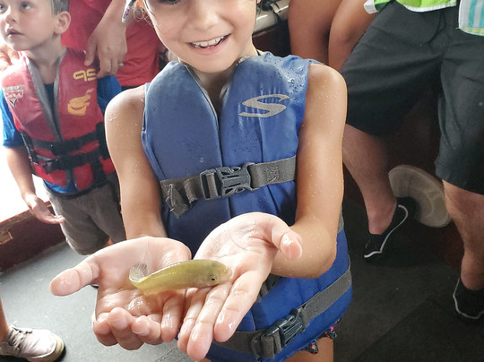 The Fun Boats Dolphin Cruises-橙色海湾必去景点