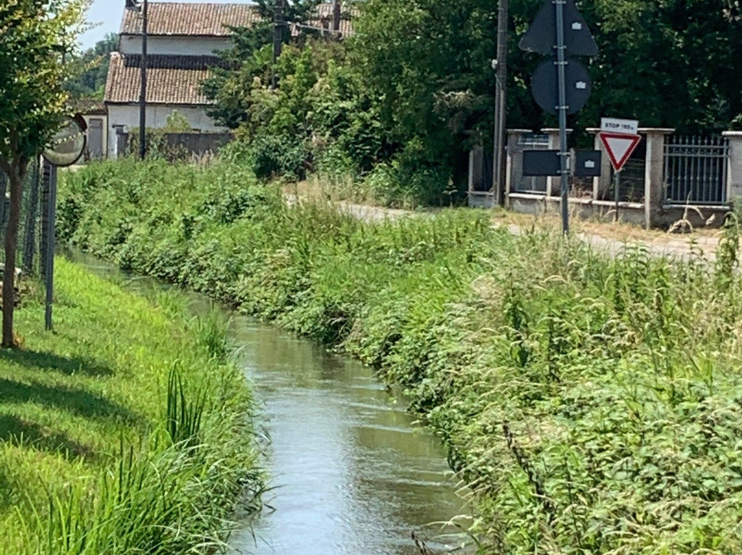 Cascina Sant'Albino di Mortara景点图片