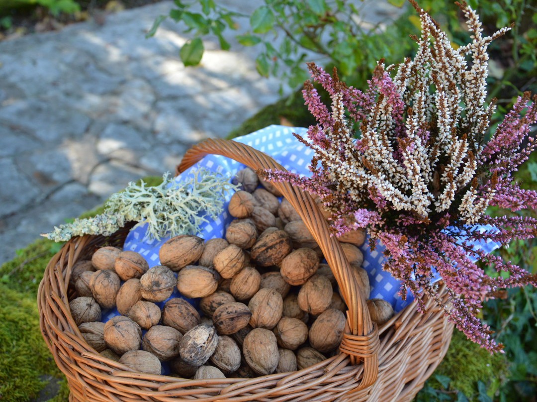 Les Templiers a Douchapt主图