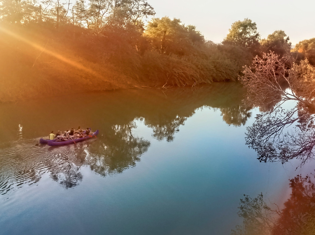Canoe nel Parco della Maremma景点图片