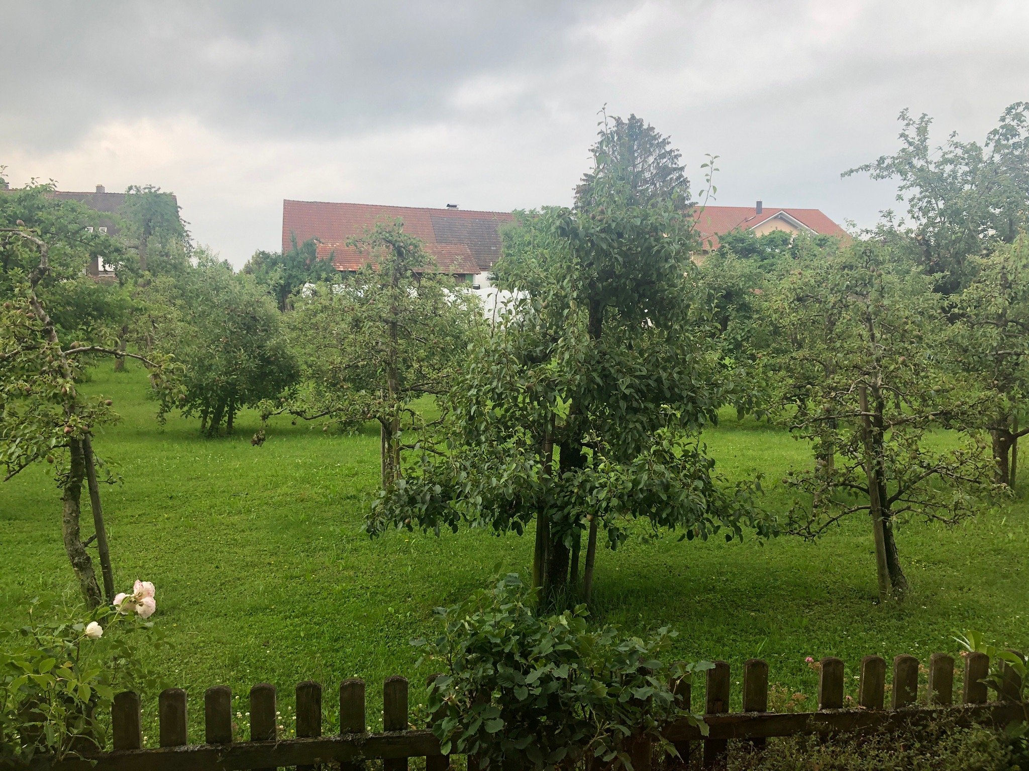 Hotel-Restaurant-Cafe Walserhof-官方
