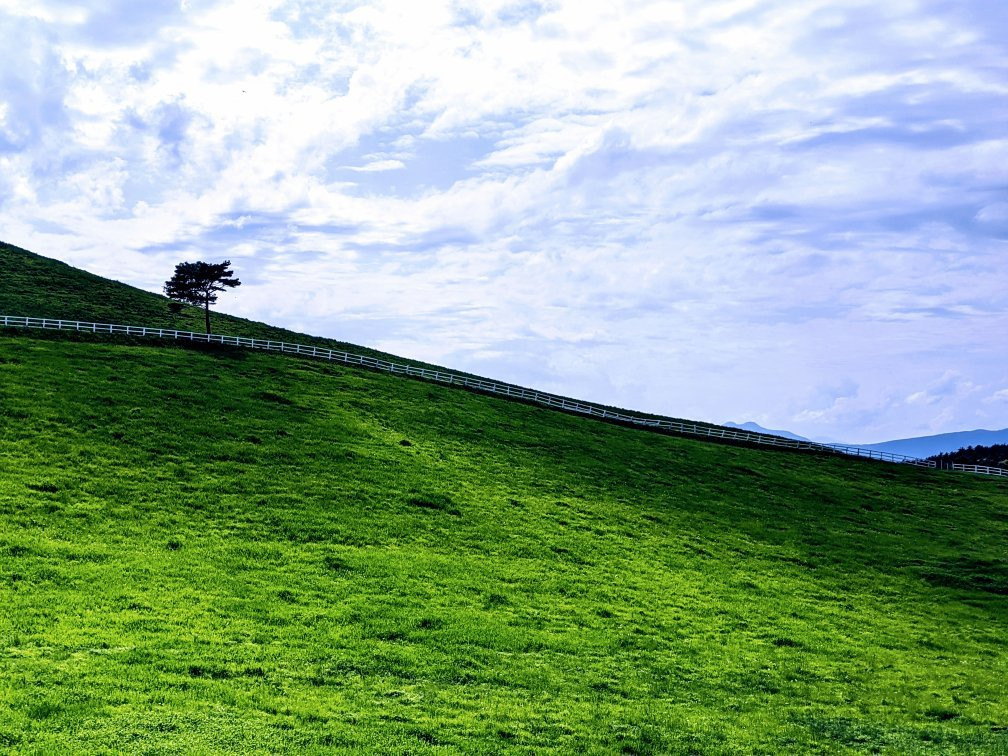 Kuzumaki Highland Farm-葛卷町必去景点
