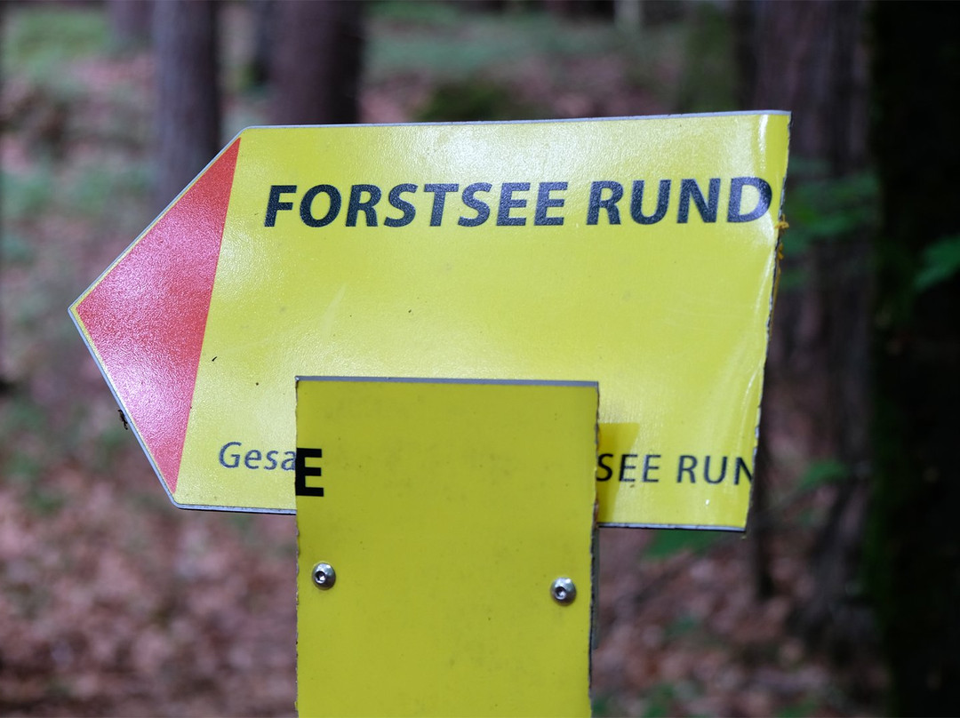 Forstsee Runde-Techelsberg必去景点