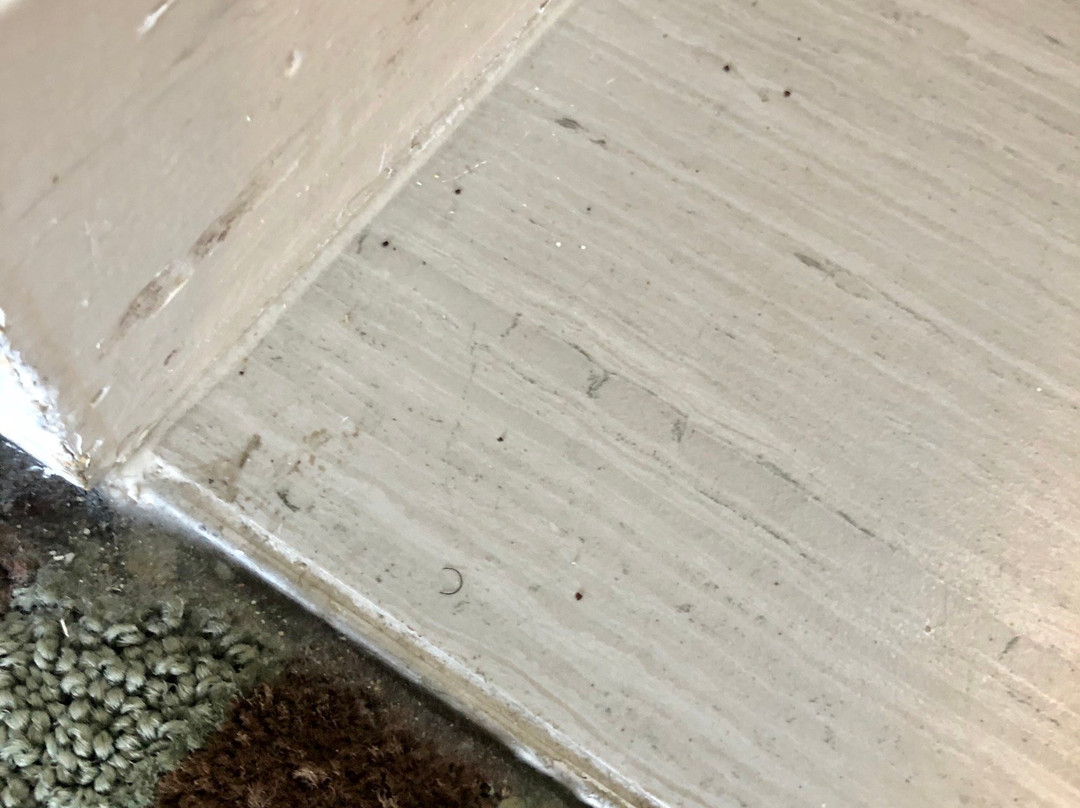 Holiday Inn Orlando East - UCF Area by IHG主图