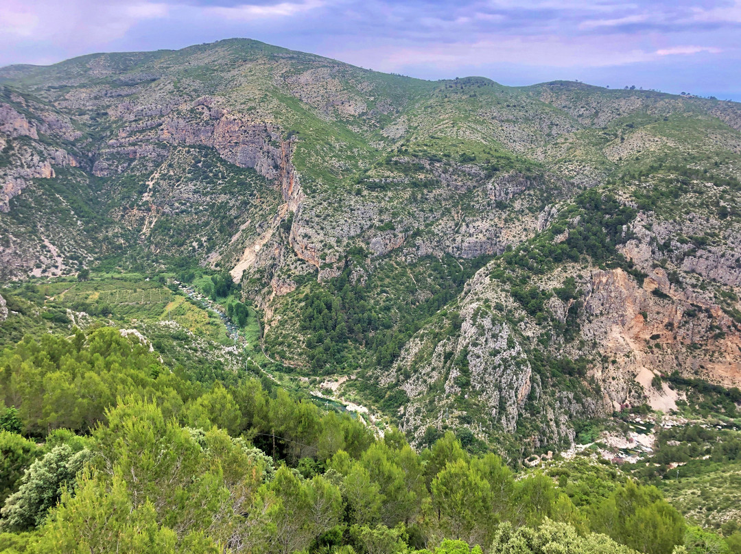 Casa Tarsan Vegan Eco Lodge主图