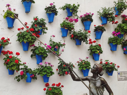 Ontdek Cordoba-科尔多瓦必去景点