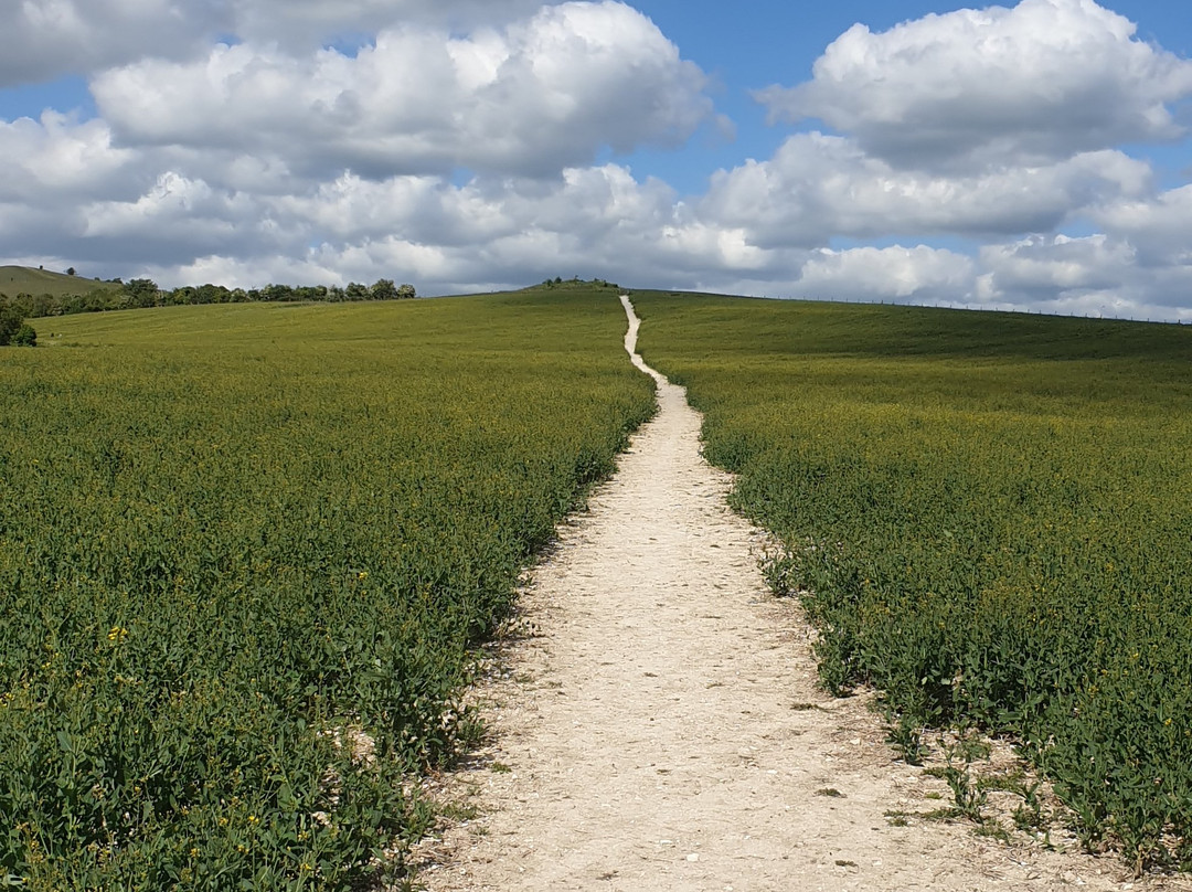Ivinghoe Beacon景点图片