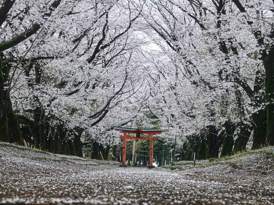Higashifukida Temman-sha-八千代町必去景点