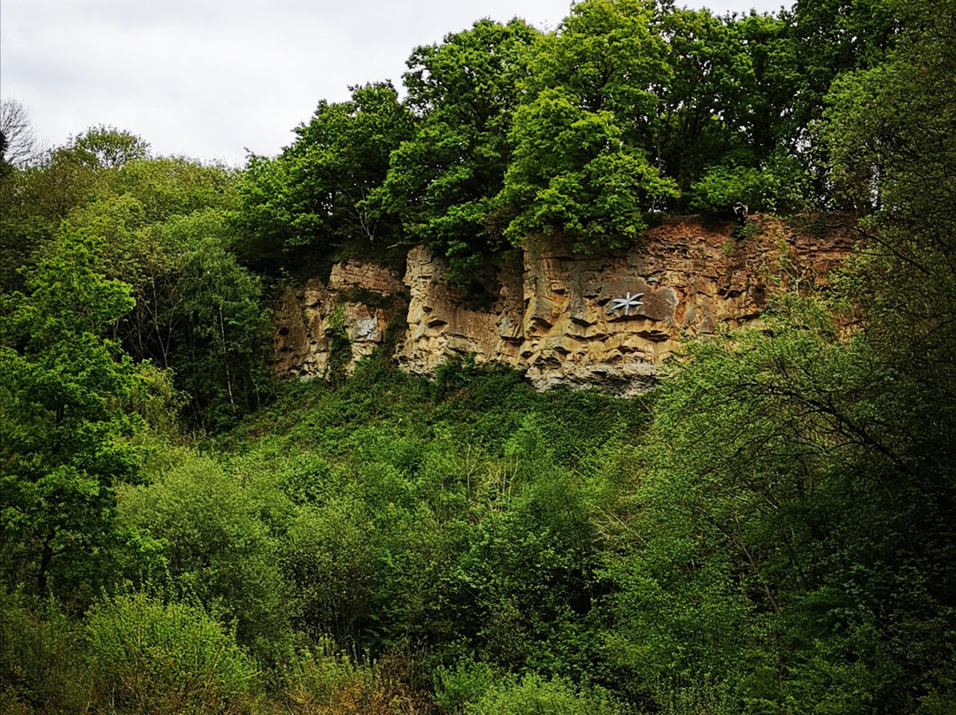 Saltwells National Nature Reserve景点图片