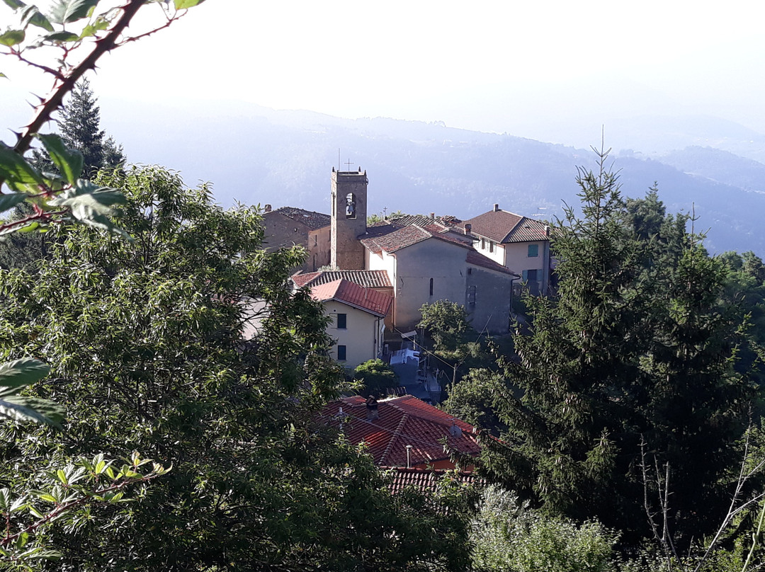 Parrocchia Di San Michele Arcangelo A Avaglio