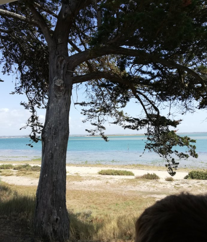 Le Petit Train des Marais Salants-La Turballe必去景点