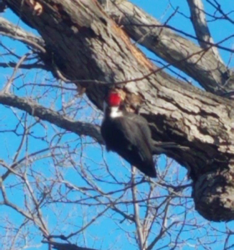 Silverwood Park-Saint Anthony必去景点