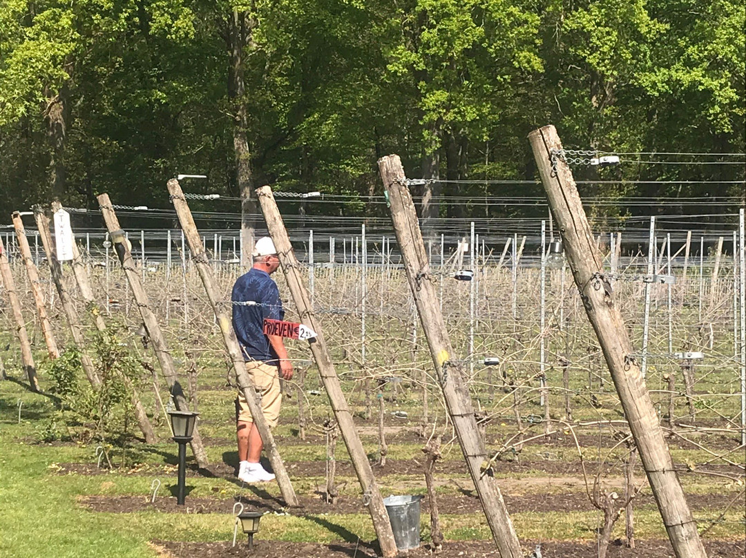 Wijngaard de Zessprong-Joppe必去景点