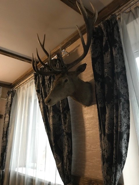 Hotel 858 km-portrait