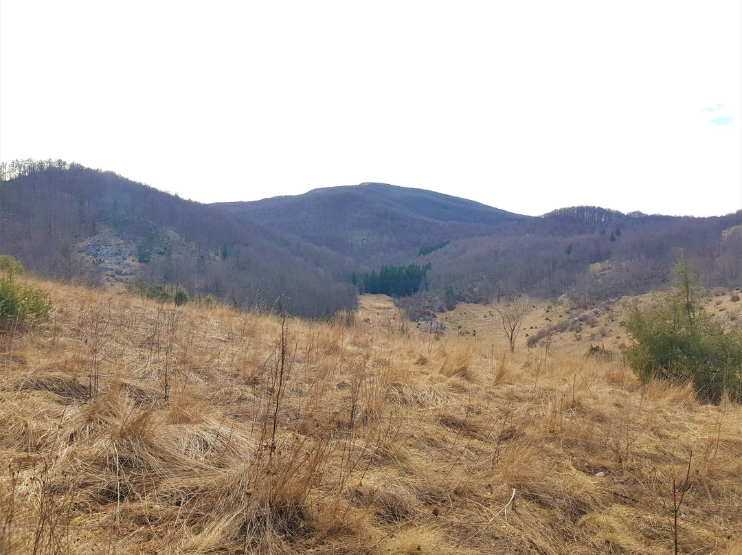 Ucka Nature Park-洛夫兰必去景点