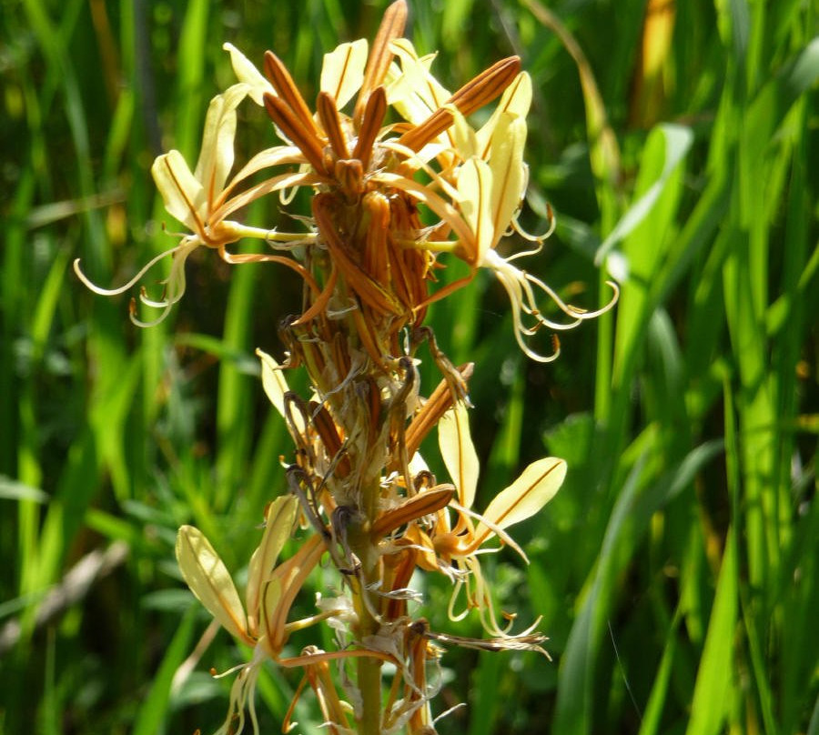Nahal Hashofet-Yokneam Moshava必去景点