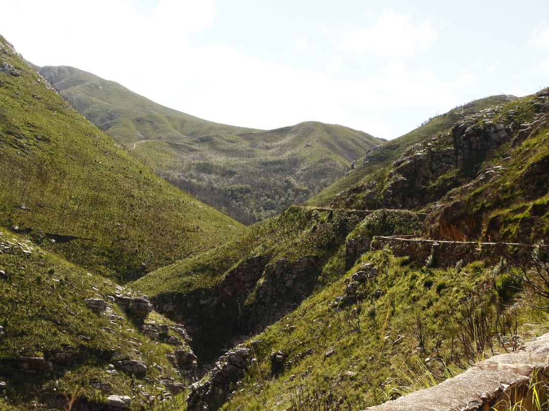 Golden Lion Adventures-Sedgefield必去景点