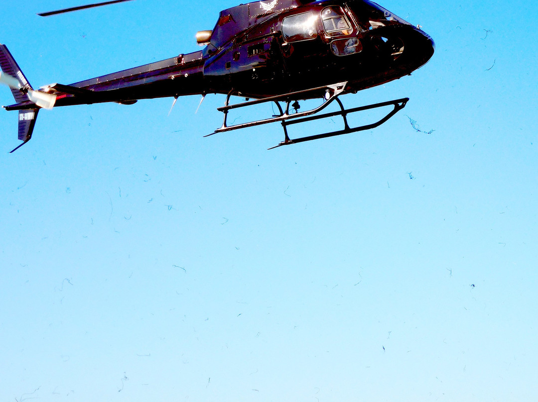 Elite Helicopters Pty Ltd-布里斯班必去景点