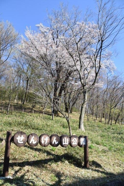 Sengenyama Park-府中市必去景点
