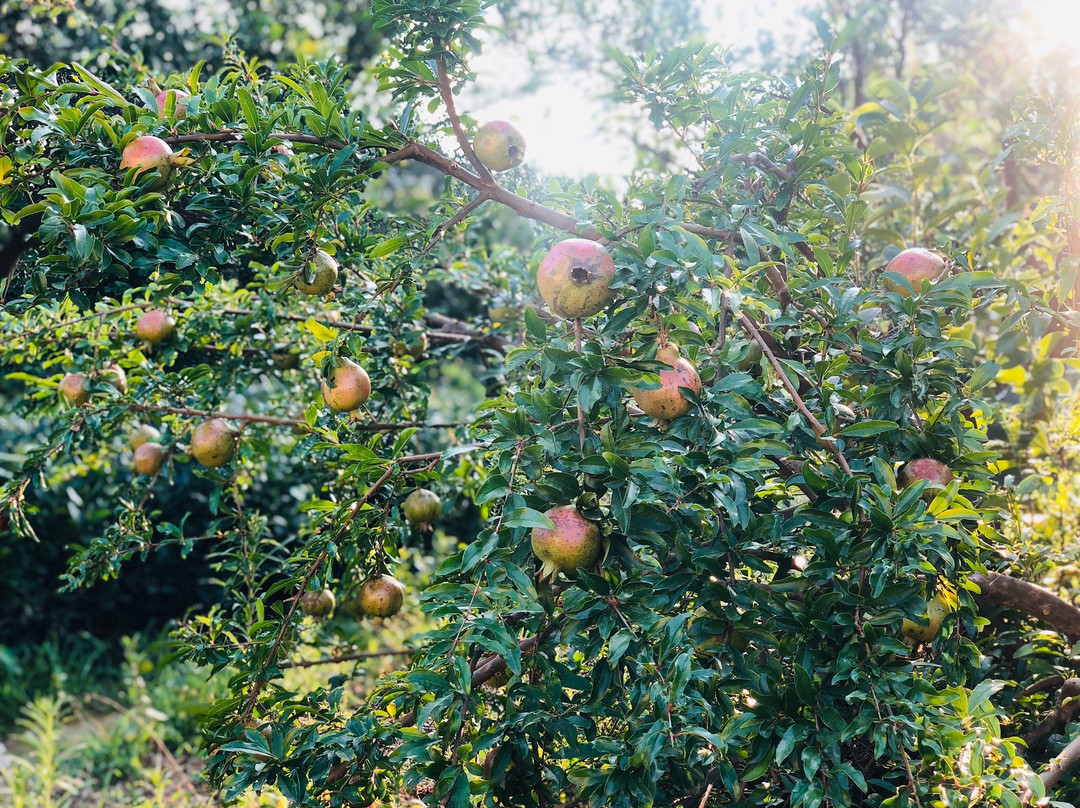 苏州西山-苏州市必去景点
