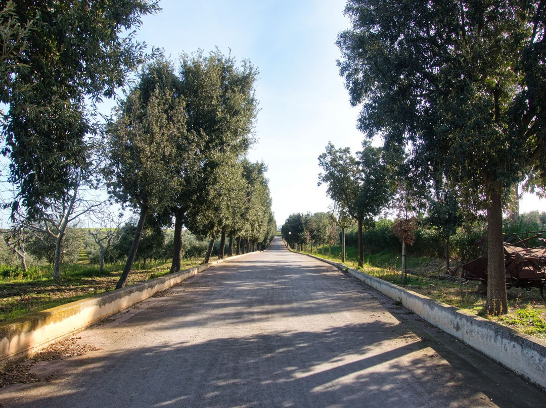 Masseria Casacapanna主图