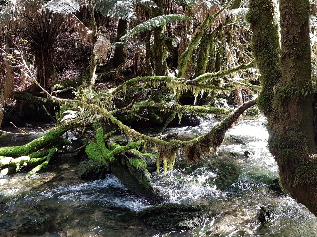 Junee Caves-Maydena必去景点
