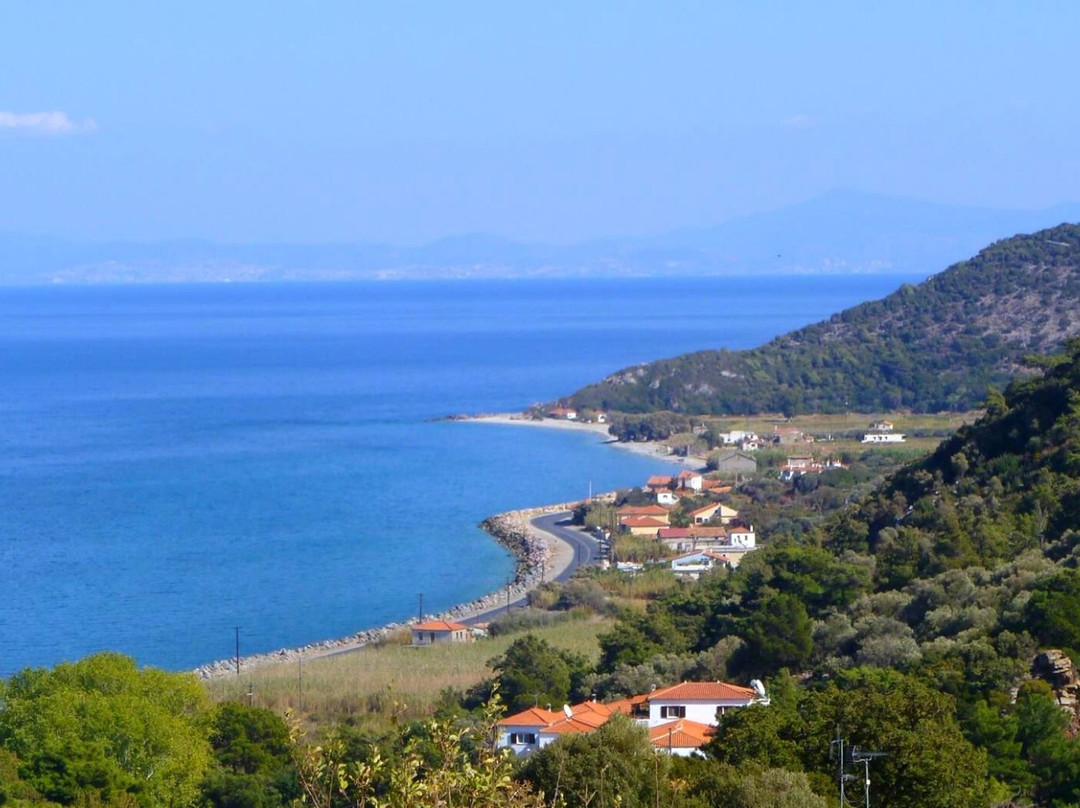 Daphne Hotel Samos主图