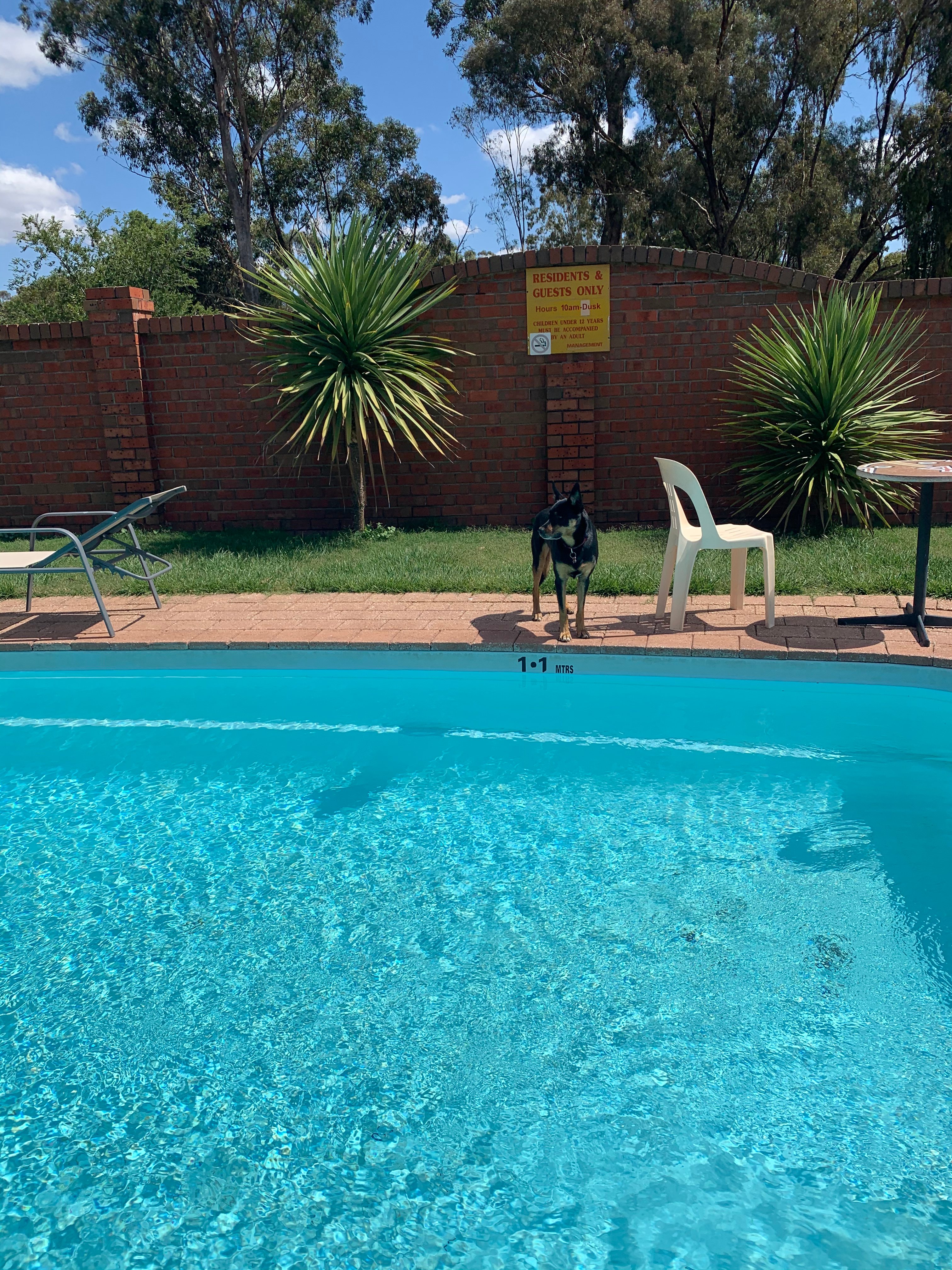 Golden Country Motel & Caravan Park-官方