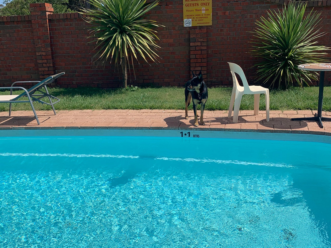 Golden Country Motel & Caravan Park主图