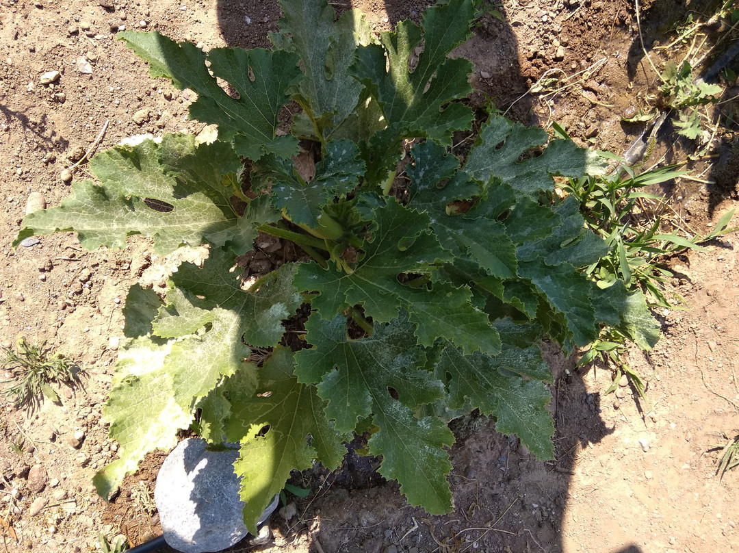 Agkathia旅游攻略图片