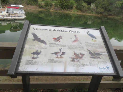 Anthony Chabot Regional Park-卡斯特罗谷必去景点