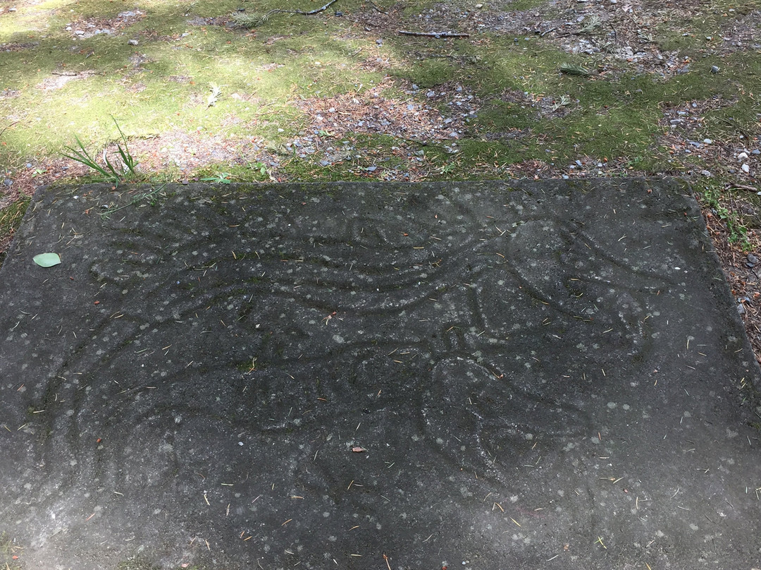 Petroglyph Provincial Park-纳奈莫必去景点