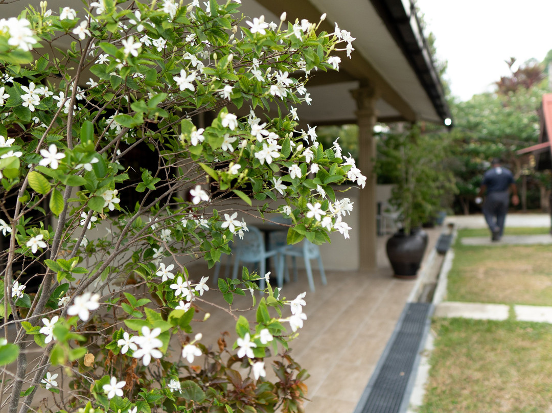 Pemandangan Indah Guest House主图
