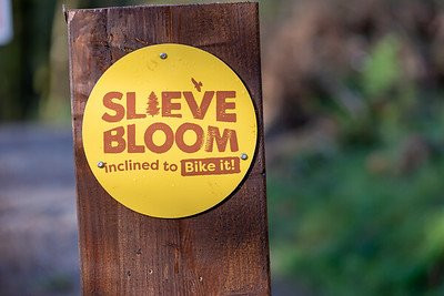 Slieve Bloom Mountain Bike Trails景点图片