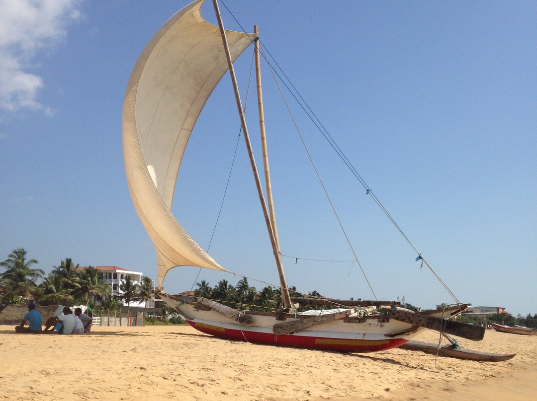 Ceylon Island Tours-科奇克德必去景点