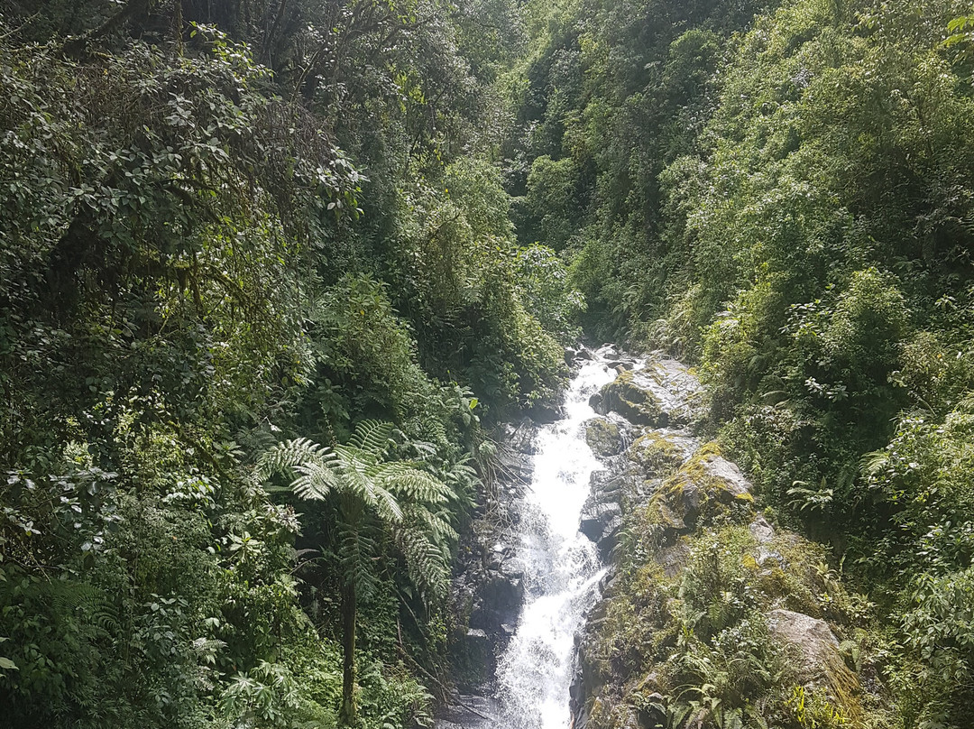 Cascadas Allcamayo-温泉镇必去景点