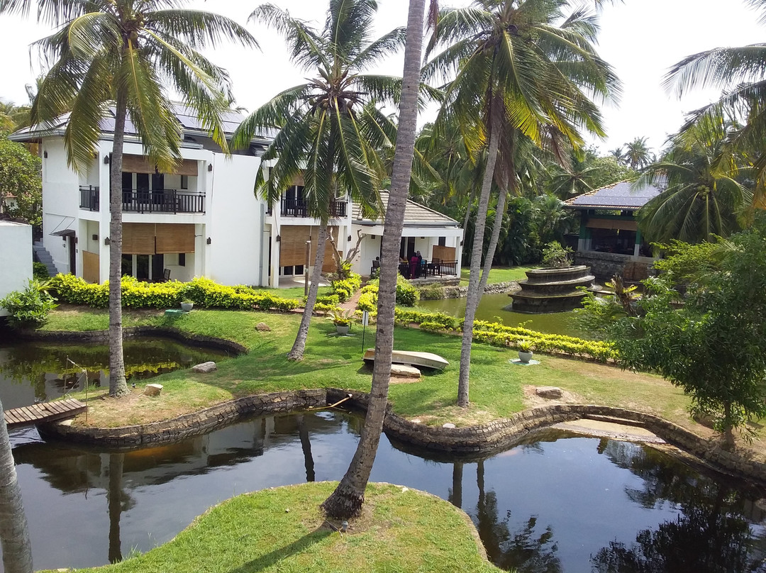 Amaluna Resorts主图