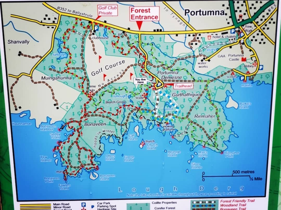 Portumna Forest Park-Portumna必去景点