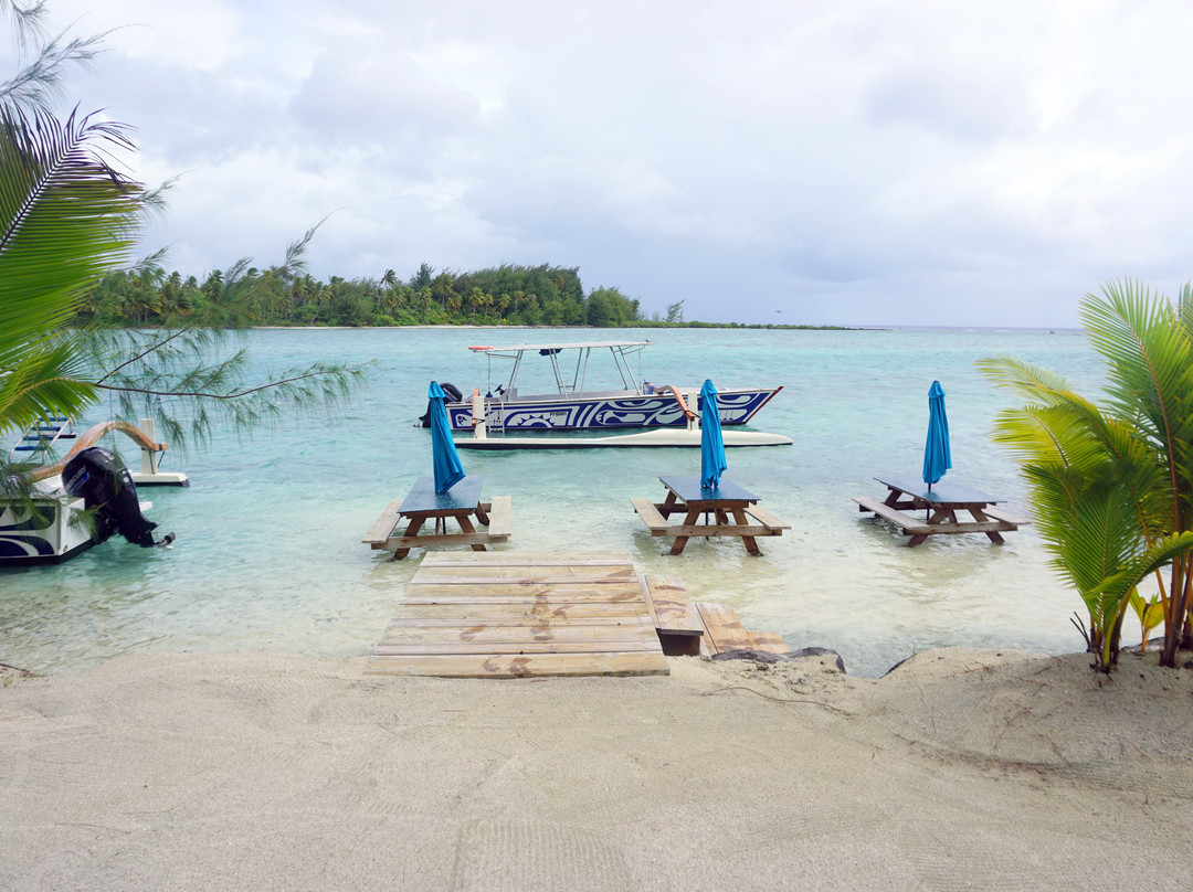 Coral Gardens-波拉波拉岛必去景点