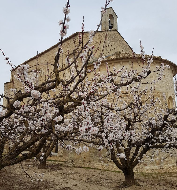Domaine de Sevanes主图
