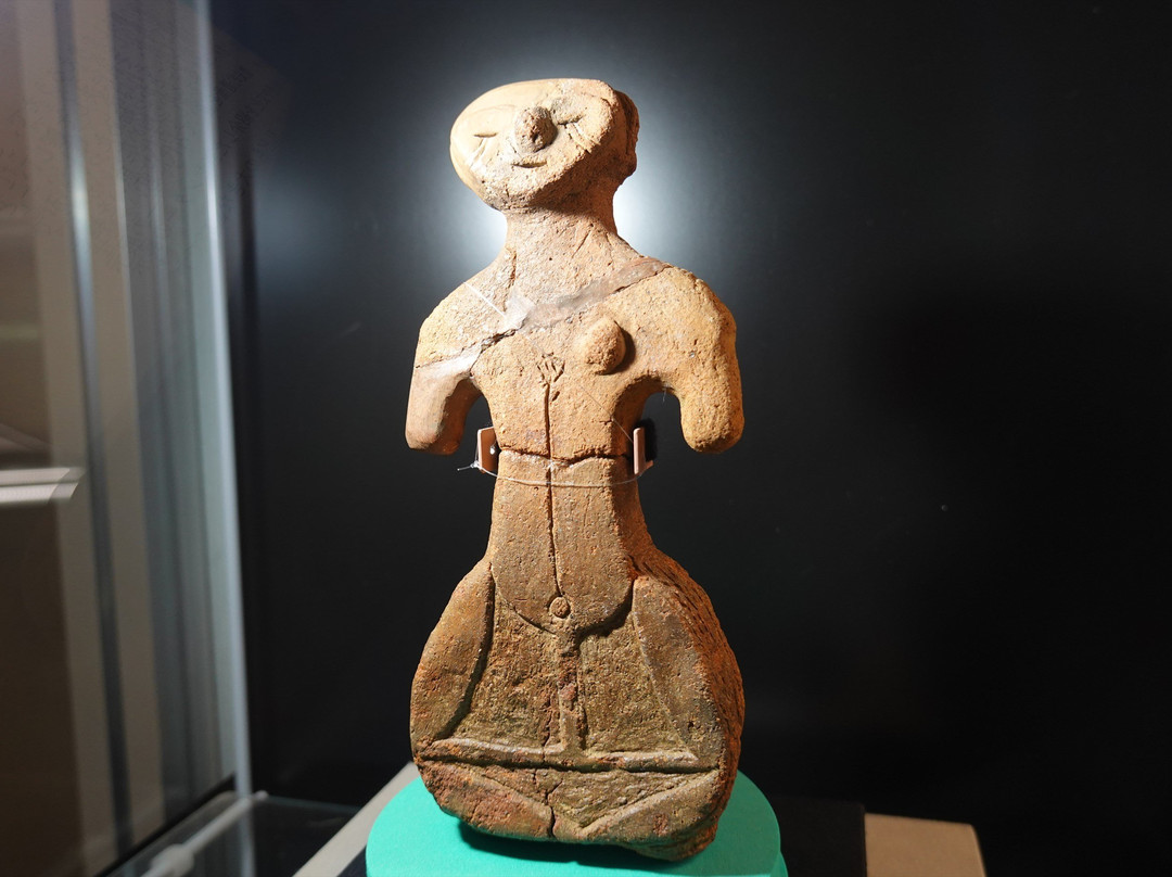 Tokyo Metropolitan Archaeological Center-多摩市必去景点