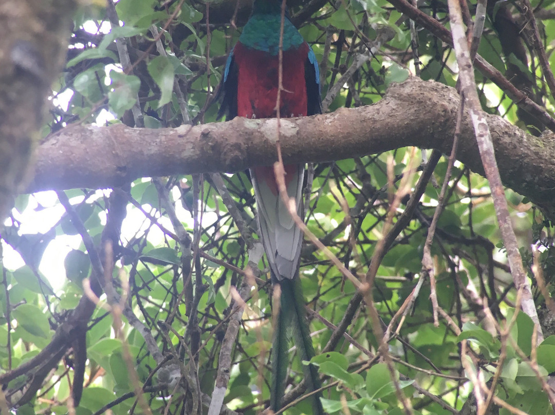 Costa Rica Wáköö Tours-哥斯达黎加安东尼奥国家公园必去景点