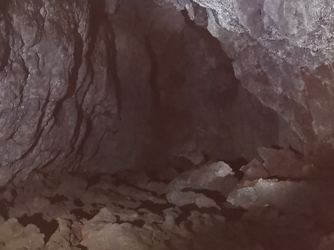 Vatnshellir Cave景点图片